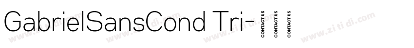 GabrielSansCond Tri字体转换